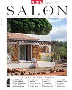 Salon nr 17