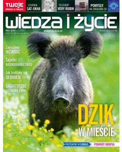 Wiedza i Życie 5/2026