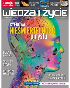 Wiedza i Życie 11/2023