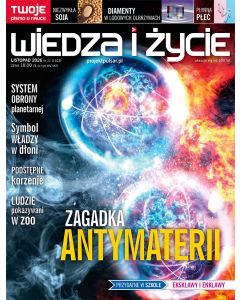 Wiedza i Życie 11/2026