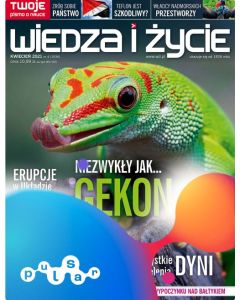 PRENUMERATA WIEDZA I ŻYCIE DRUK + PULSAR