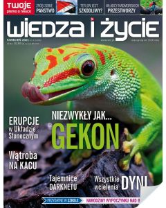 PRENUMERATA WIEDZA I ŻYCIE DRUK