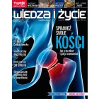 Wiedza i Życie 3/2025