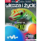 PRENUMERATA WIEDZA I ŻYCIE DRUK + PULSAR