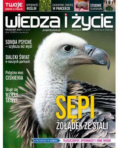 Wiedza i Życie 9/2024